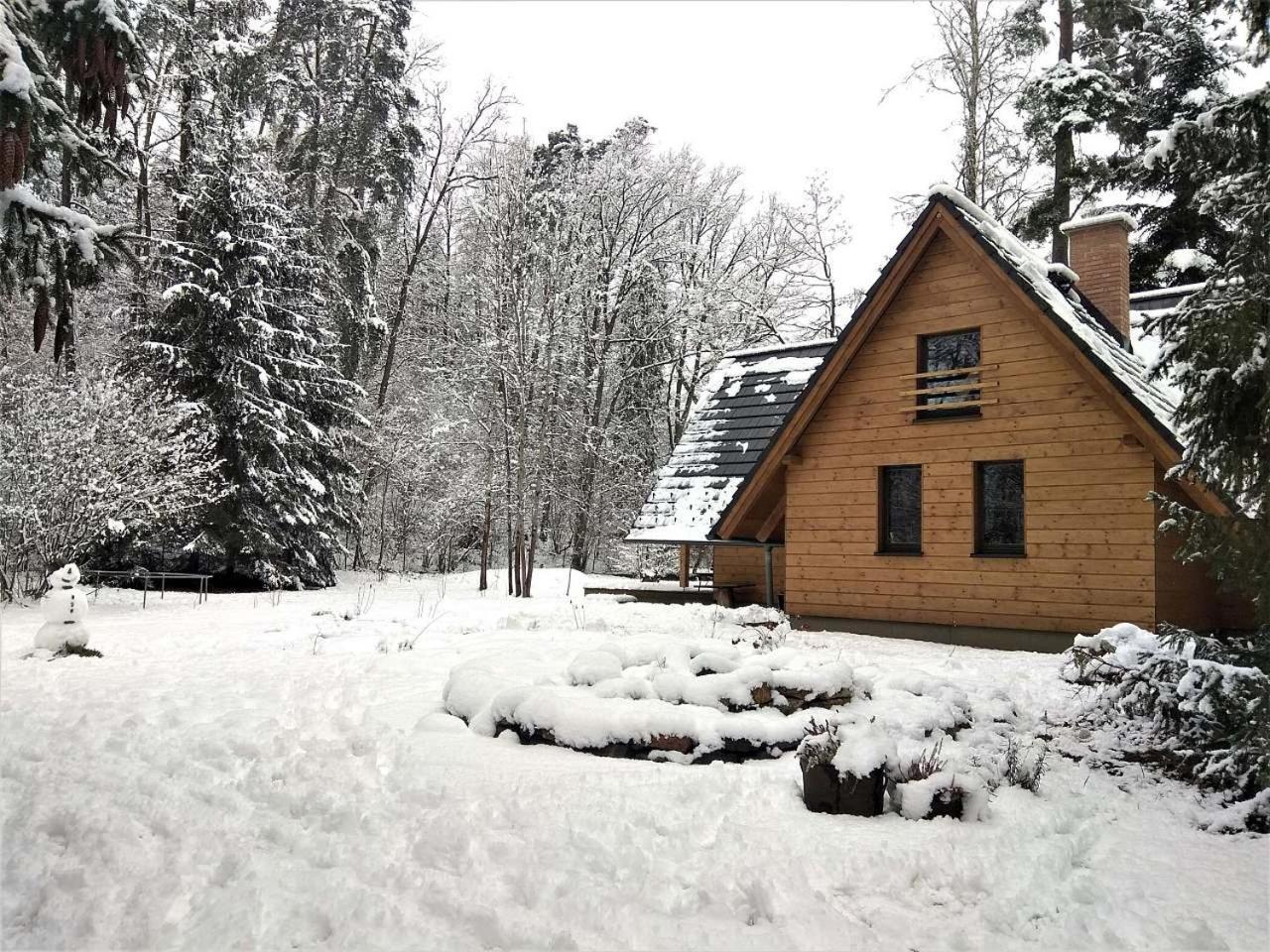 Chata Eva Villa Planá nad Lužnicí Екстериор снимка